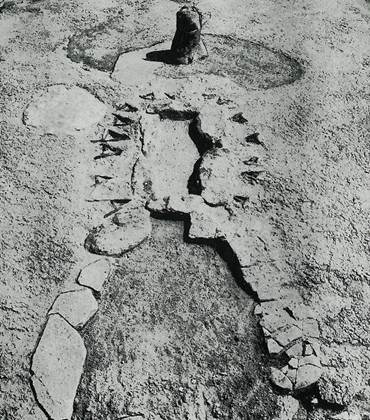 Раздвојено влакно ДНК (Лепенски Вир Iд)